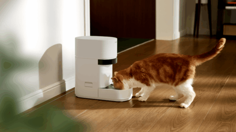 دستگاه غذا‌دهی هوشمند Petlibro با قابلیت